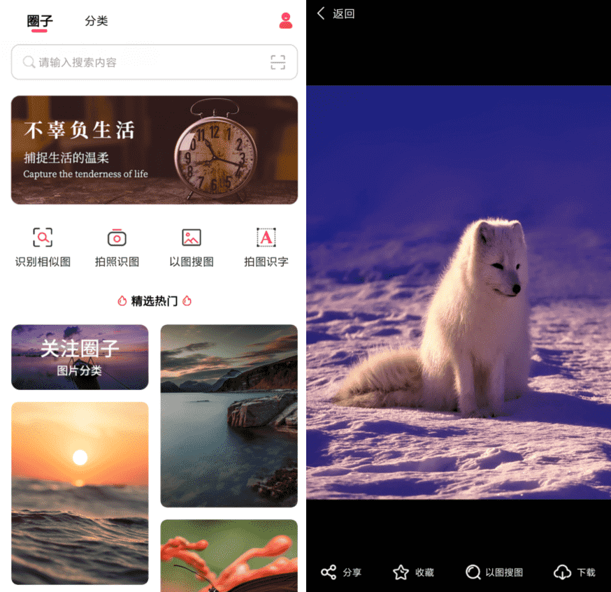 以图搜图v1.0.0纯净版-阿勒源码网